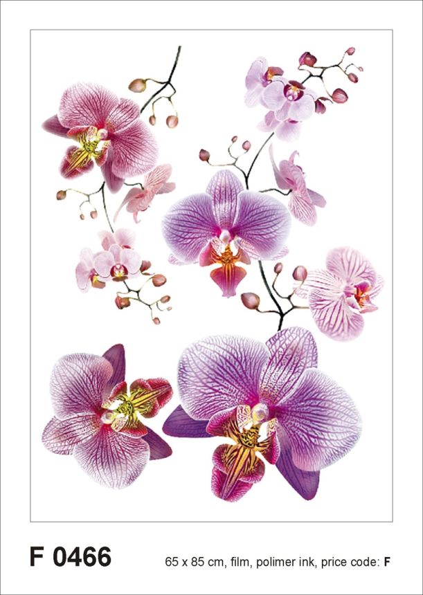 Matrica / öntapadó fali dekoráció F 0466, Orchideae, AG Design