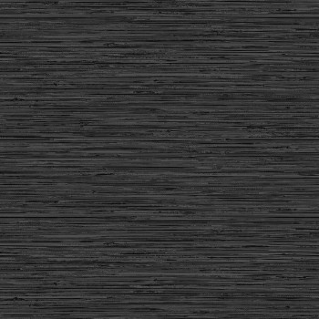 Fekete texturált vlies tapéta, 120724, Vavex 2025