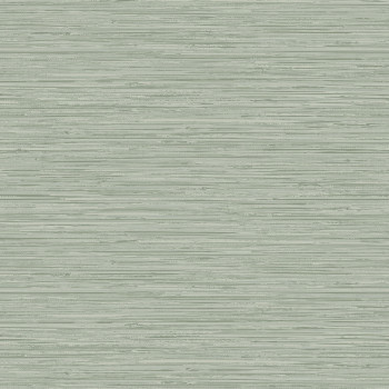 Zöld texturált vlies tapéta, 120726, Vavex 2025
