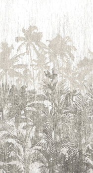 Vlies fotótapéta 200350, Jungle 150 x 280 cm, Panthera, BN Walls