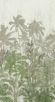 Vlies fotótapéta 200349, Jungle 150 x 280 cm, Panthera, BN Walls