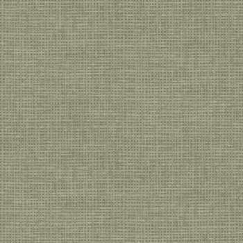 Vlies tapéta, barna, matt utánzat, 124094, Utopia, Graham Brown Premium