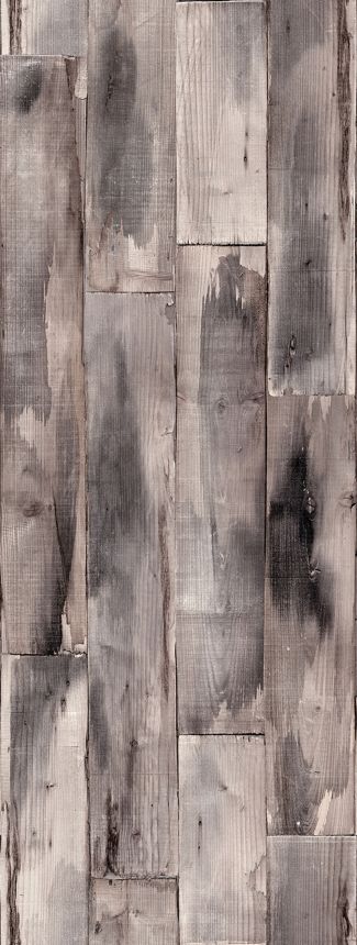 Vlies poszter tapéta, szürke, fa, FW4051-11, Feature Walls, Decoprint