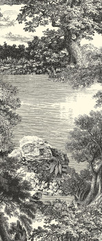 Posztertapéta, fekete, erdő, fák, DGSAL1011-260, Amazone, Masureel
