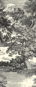 Posztertapéta, fekete, erdő, fák, DGSAL1013-260, Amazone, Masureel