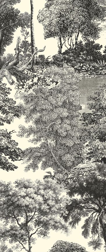 Posztertapéta, fekete, erdő, fák, DGSAL1014-300, Amazone, Masureel