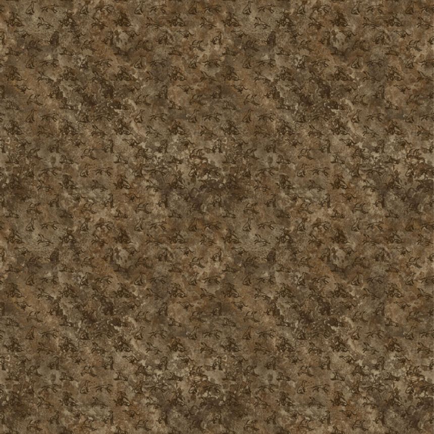 Luxus fotótapéta, barna, kutyák, Z30354, Casa 8, Trussardi