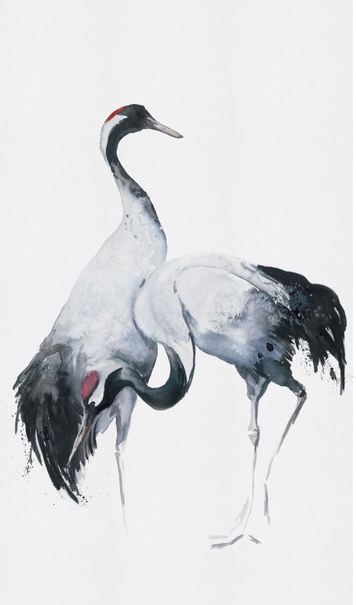 Fotótapéta, madarak, gémek, 34596, Kumano, Marburg