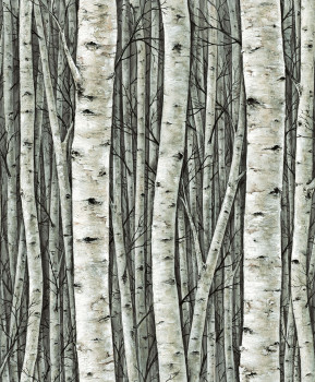 Tapéta, zöld, fák, nyírerdo, 35380, Timber, Marburg