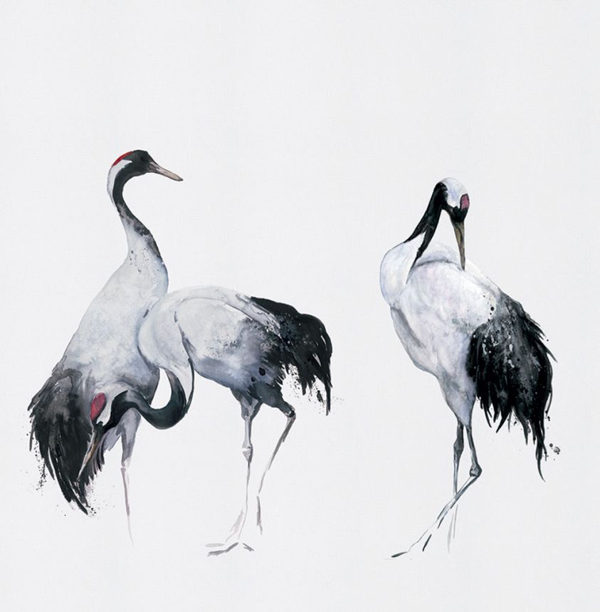 Fotótapéta, madarak, gémek, 34593, Kumano, Marburg