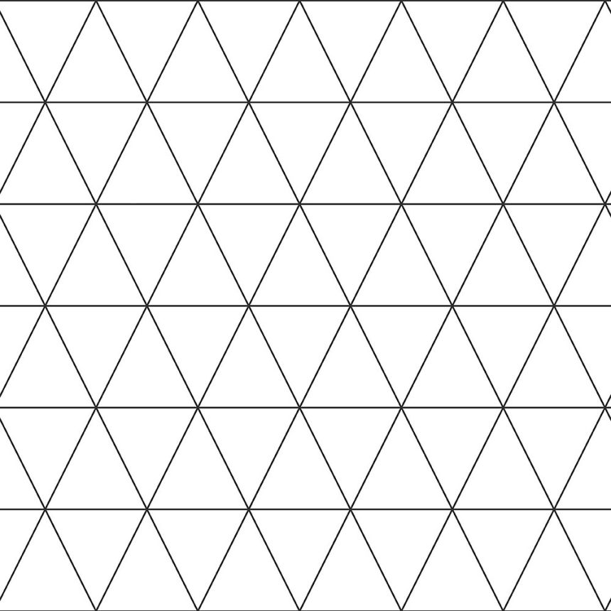 Fekete-fehér vlies tapéta háromszöggel 139148, Black & White, Esta