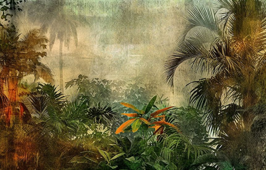 Fotótapéta méretre, Dzsungel, 10207, Vavex