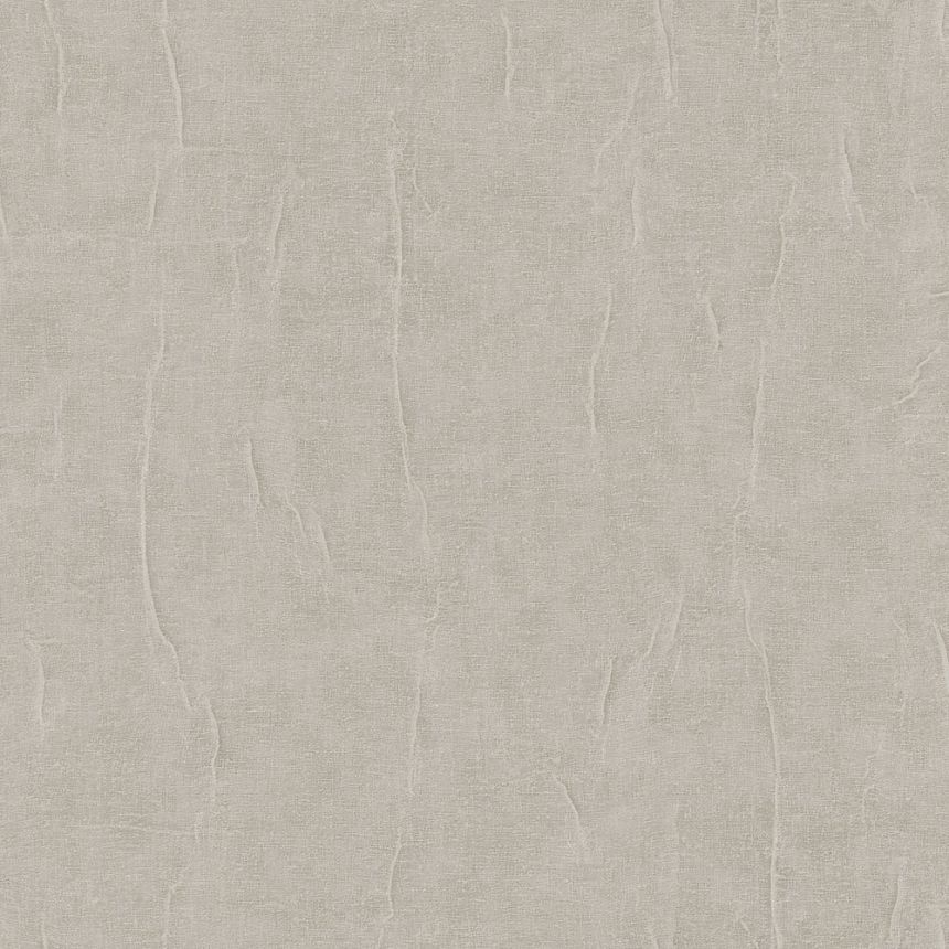 Kőhatású tapéta, szürkés bézs (taupe), RE521083, Renaissance, Design ID