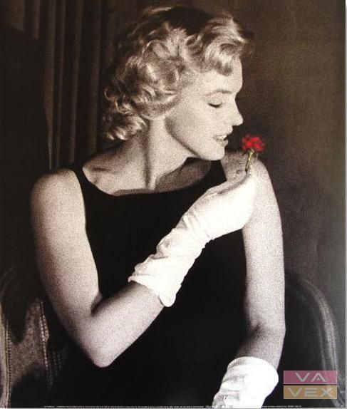 Fali poszter 7872, Marilyn Monroe fotó, méret 60 x 50 cm