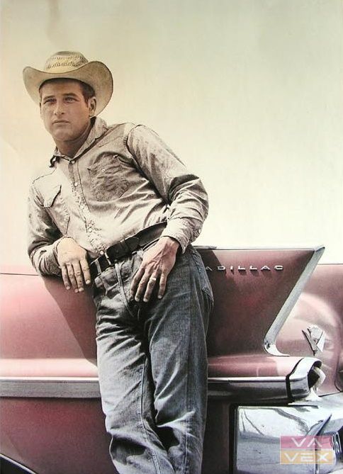 Fali poszter 3212, Paul Newman, méret 98 x 68 cm