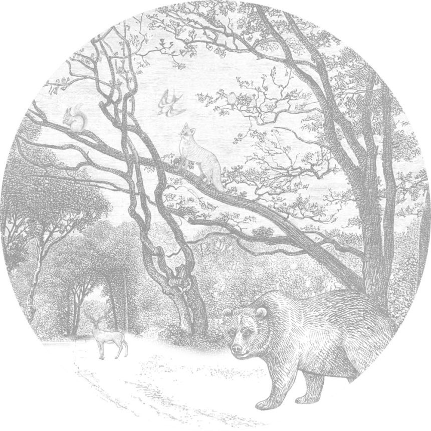 Öntapadós kör-tapéta Erdő, erdei állatok 159083, átmérő 140 cm, Forest Friends, Esta