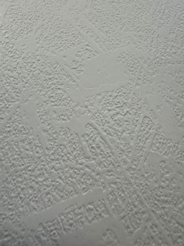 Papír tapéta utánzat vakolat 2001700 Old Friends II, Vavex 2025