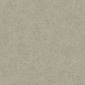 Texturált vlies tapéta szürke, AF24504, Affinity, Decoprint